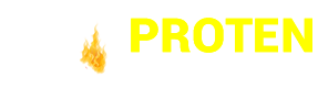 PROTEN – Segurança e Serviços